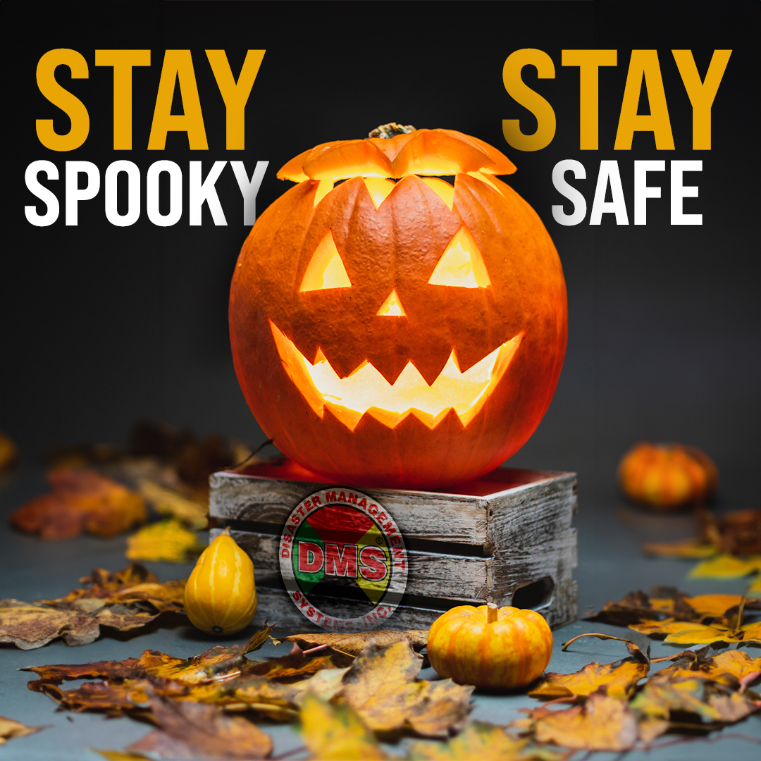 DMSTriageTags's tweet image. Have a happy and safe Halloween, and be sure to check your inbox for a special promotion - valid today only, 10/31/23.  Contact your sales rep for further details. 

Stay Safe!

#DMS 
#Halloween