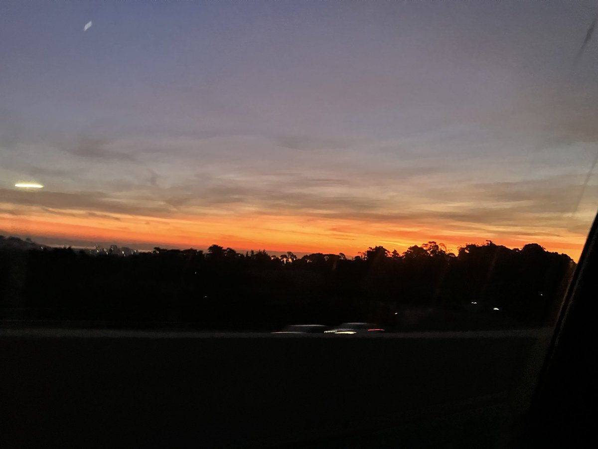 Sarah Sussman (@sussman72) on Twitter photo 