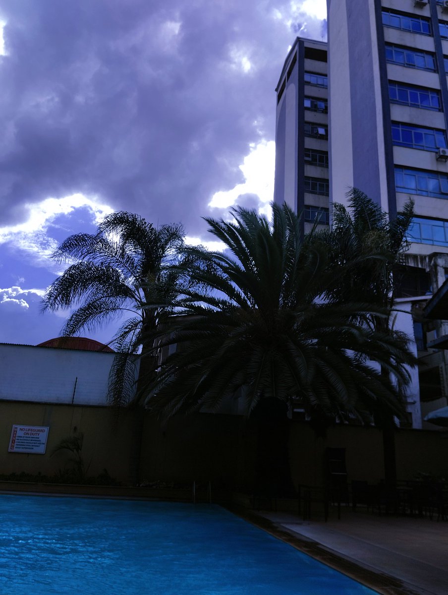 AnneNyaboke6's tweet image. &quot;🌴 Just spotted a majestic palm tree swaying in the breeze! Nature&apos;s beauty never fails to amaze me. 🌿 #NatureLover #PalmTreeParadise&quot;