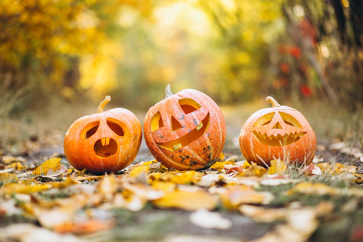 It’s the spooky time of the year again!

Don’t let the #pumpkin  jack-o’-lanterns haunt you.  Read our latest blog post on how to reduce pumpkin #waste this Halloween, with some surprising facts and suggestions!

Happy #Halloween 👻

yorwaste.co.uk/news-blog/redu…