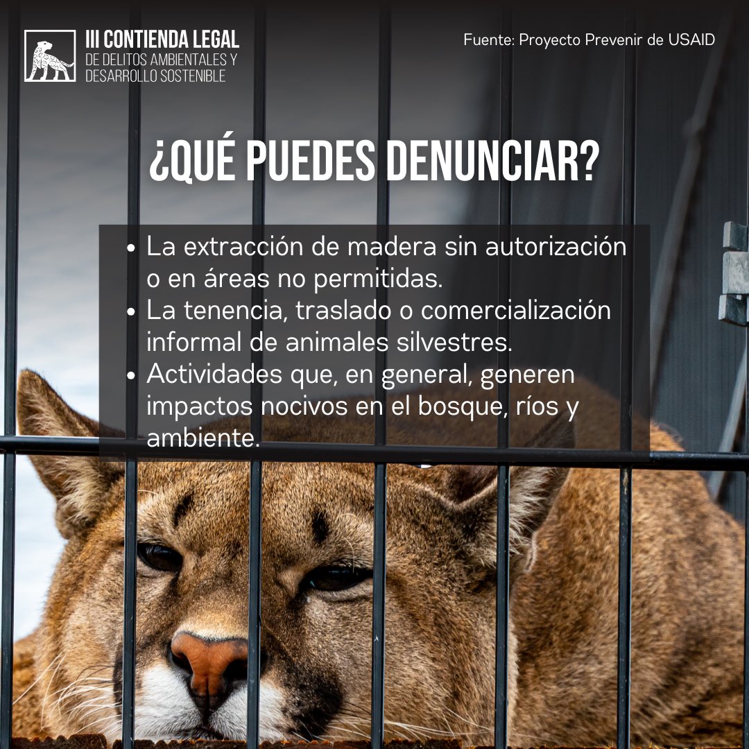 III Contienda Legal de Delitos Ambientales tweet media
