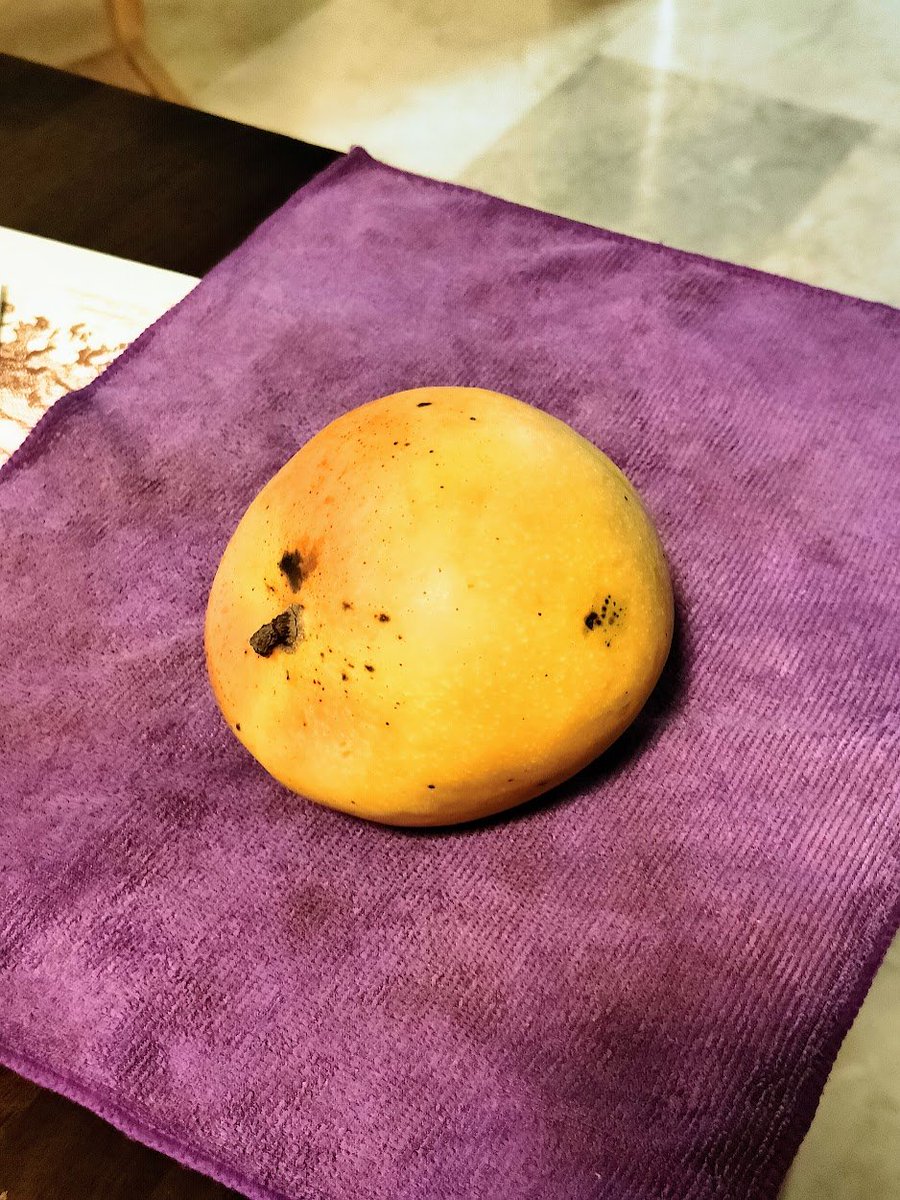 Been holding off on this room temp R2E2 despite the spotting since the color hasn't peaked the way it should. So ... not too hopeful on the taste &amp; texture, plus will have to slice it up soon. Daily checks, daily checks. Also, in case you're wondering, Row 2, Experiment 2.