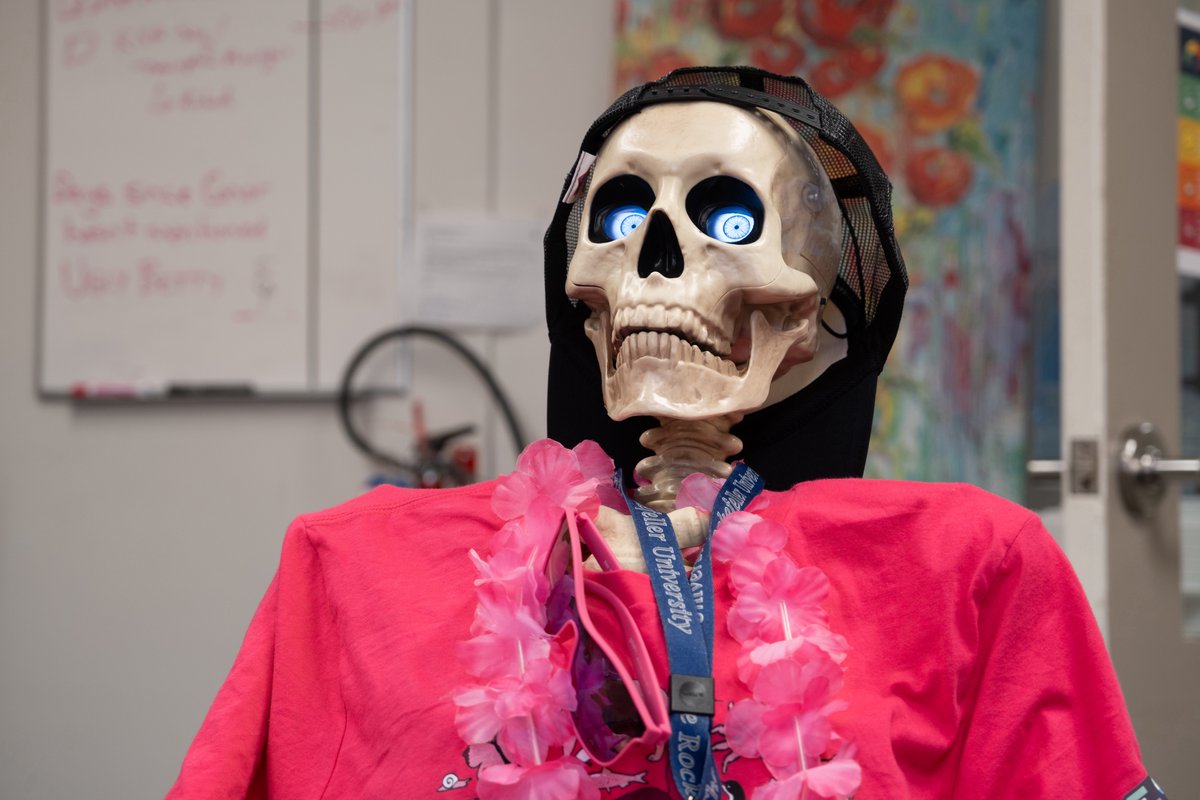 Happy Halloween from Skelly, hominid in residence in Rockefeller's @genomewarriors lab—where skeletons are in style year-round! #spookyscience
