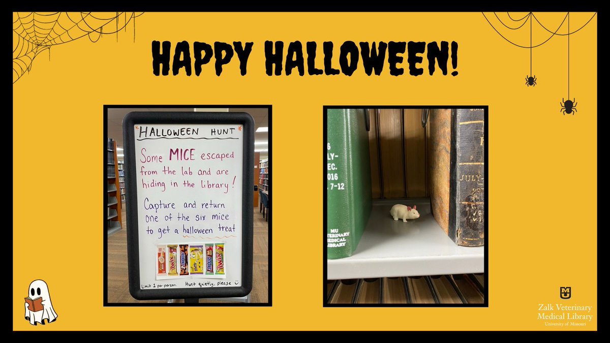 Mizzou Veterinary Medical Library (@zalklibrary) on Twitter photo This is the only time "mice" are allowed in the library... ๐ Happy Halloween! ๐ป๐  #Halloween #MizzouLibraries This is the only time "mice" are allowed in the library... ๐ Happy Halloween! ๐ป๐  #Halloween #MizzouLibraries