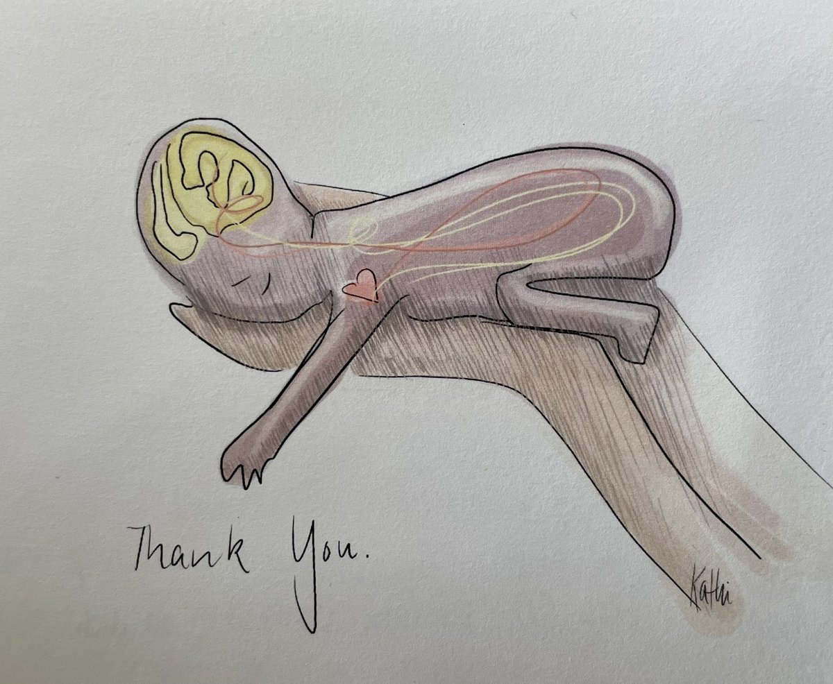 Such a fantastic drawing of one of my masterstudents! Anyway a big thank you is in order to all families supporting our #research! 🙏🏼
#phdlife #chd