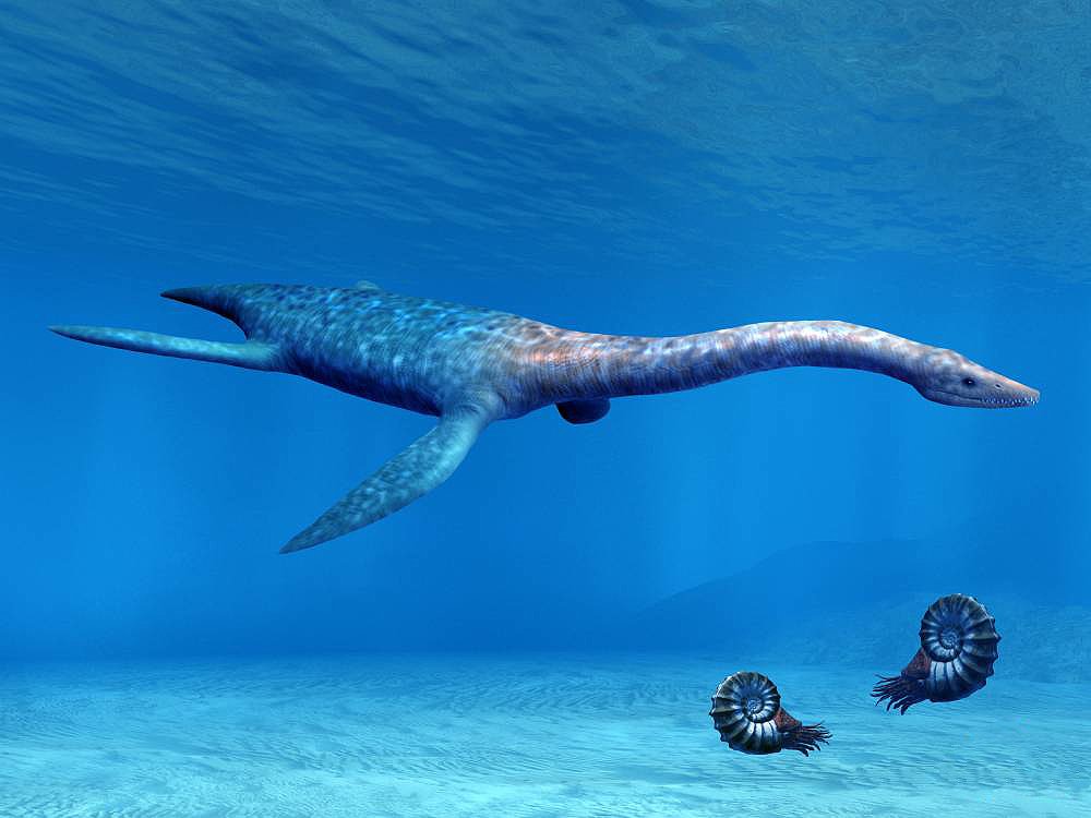234_Toybox's tweet photo. @mellowshade Attenborosaurus https://t.co/zdVhaBcRuW
