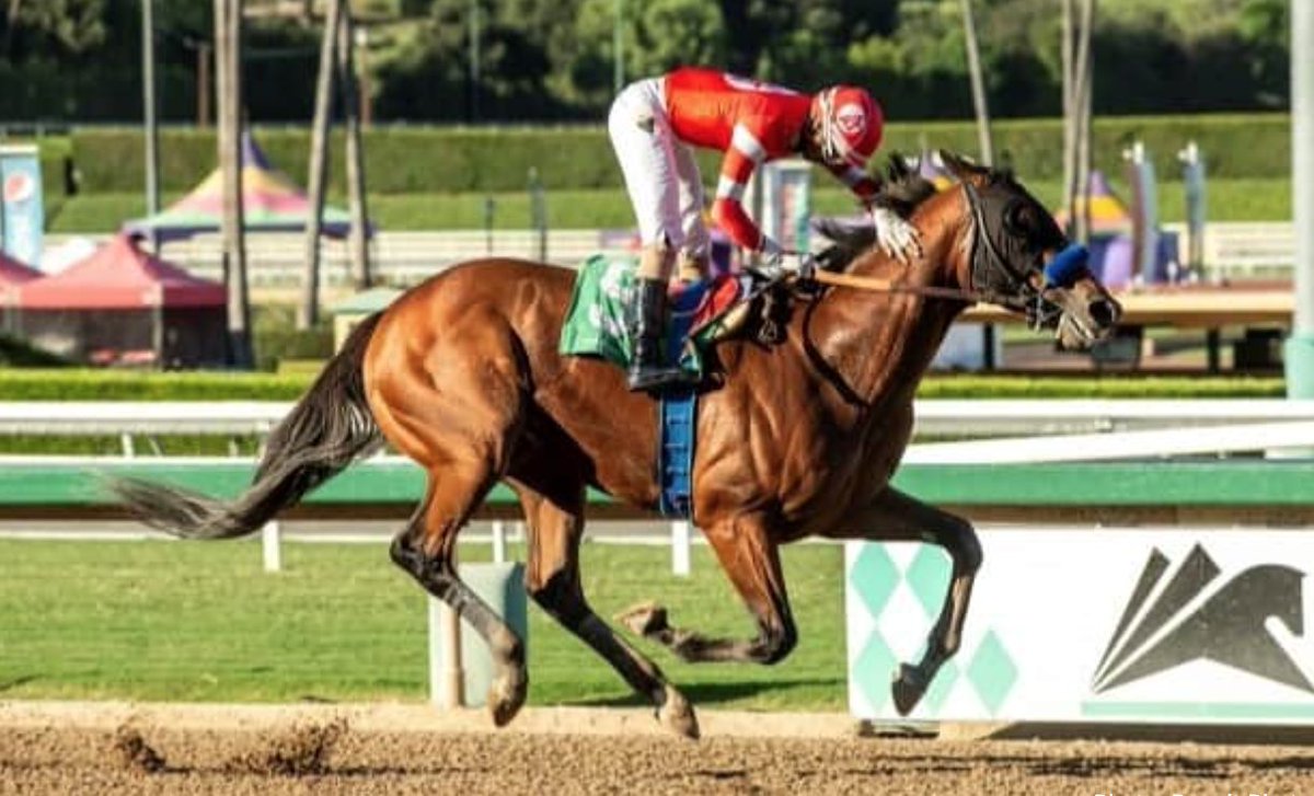 HR_Nation's tweet photo. Practical Move dies at Santa Anita after suspected cardiac event.

https://t.co/J7tzEGH8G7

📸: Benoit Photo https://t.co/7HGL3tlejB