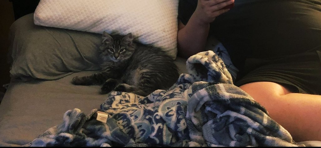 Dis howw smol ian used b caan u eben beyieve dat!!!