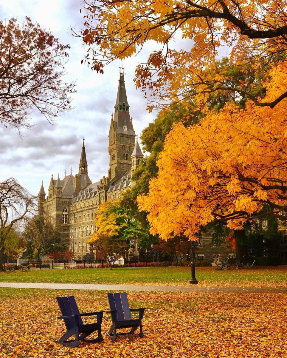 📍 A Georgetown fall⁠
⁠
Happy November, Washingtonians! Find fantastic fall things to do here: washingtonian.com/tag/fall
⁠
📸: shantell.lopezphoto & drchubacca⁠ on IG
#WashMagPhoto