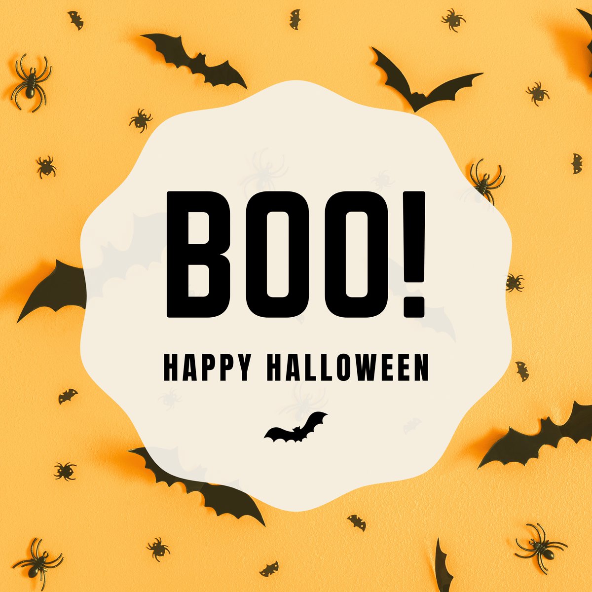 Boo! 👻 #HappyHalloween from Bennett/Porter! Wishing everyone a day filled with spooky fun and sweet treats! 🎃🌟 #Halloween2023 #BennettPorterSupporter #TrickOrTreatYourself