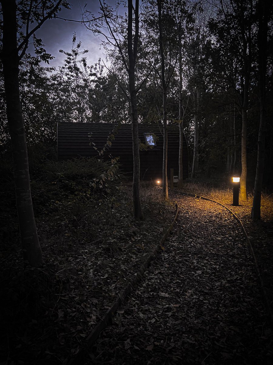 Booked a small reading retreat to just get away for a few days. Can totally say that booking a cabin in the woods to read horror books is the absolute spookiest of vibes and I’d 100% recommend.