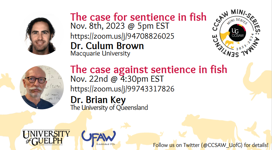Campbell Centre for the Study of Animal Welfare tweet media