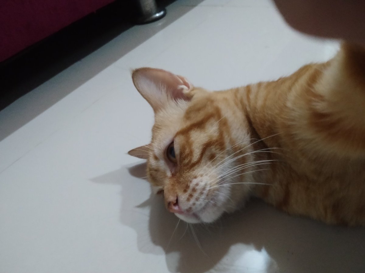 fall_ways's tweet photo. Perasaan ini sangat dalam hingga aku memilih untuk memendam.
#onyeng https://t.co/IEN4JY1NPk