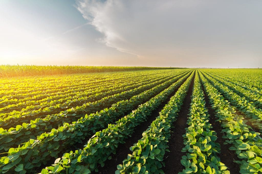 Edge computing in agriculture: Enhancing farming efficiency and sustainability by @abigail_opiah #agriculture #dataprocessing #edge #edgecomputing #precisionagriculture #sustainability #farming edgeir.com/edge-computing…