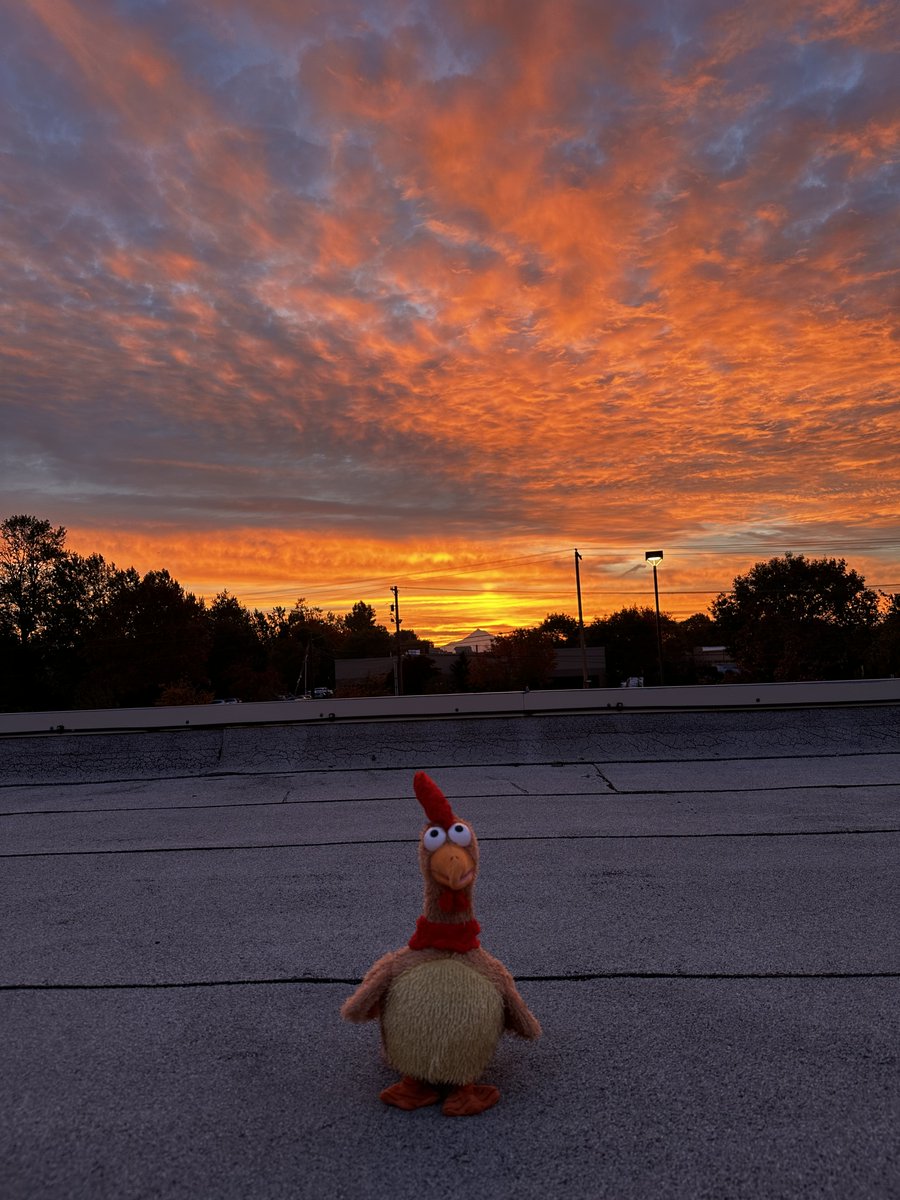 NWS Portland tweet media