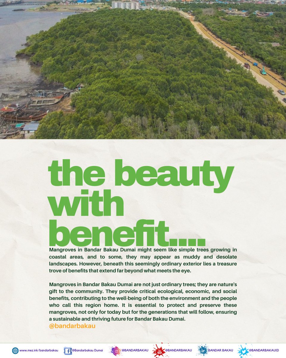 THE BEAUTY WITH BENEFIT: Mangroves boost food security

#BeautyWithBenefit #MangroveFoodSecurity
#BandarBakau
#DumaiEcotourism
#NatureAndCulture
#BandarBakauMenujuDunia
#DumaiMangroveEcoutourismCentre