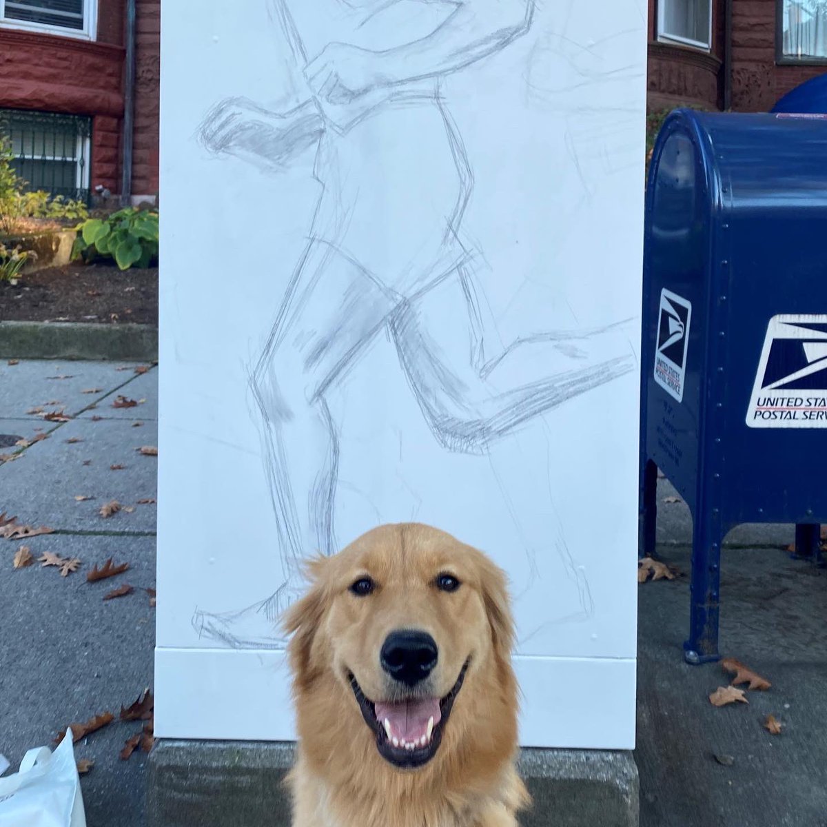 Brookline Planning tweet media