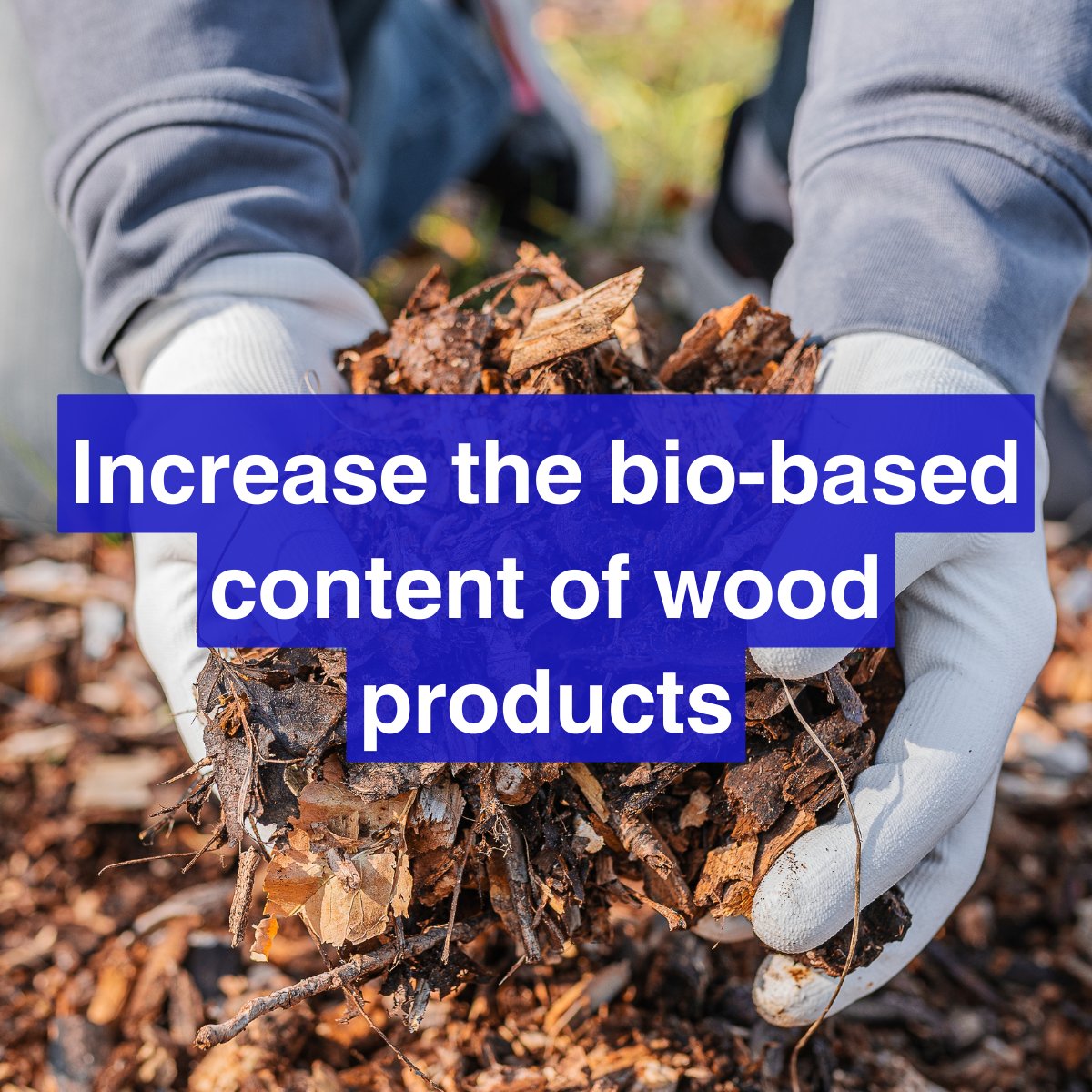 SuperBark_EU's tweet image. How will #SuperBark impact the #sustainability of consumer products? 🤔 Our mission is to create adhesives and coatings with over 95% bio-based content to replace fossil-based solutions, and diversify the #bioproduct portfolio available on the market 💪