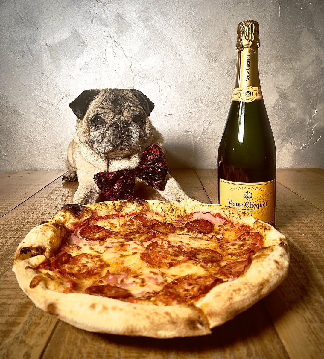 Maurice the Pug tweet media