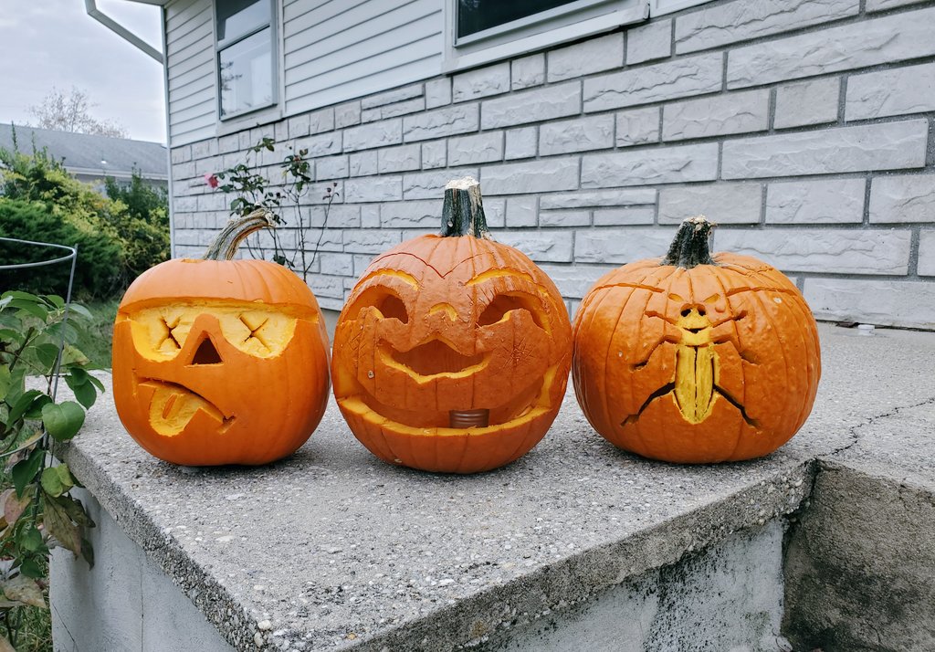 Happy Halloween! 🎃 🪲
#pumpkincarving #cerambycidae