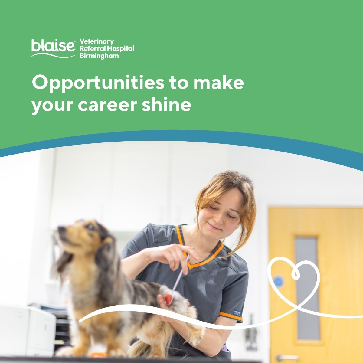 Blaise Veterinary Referral Hospital Birmingham tweet media