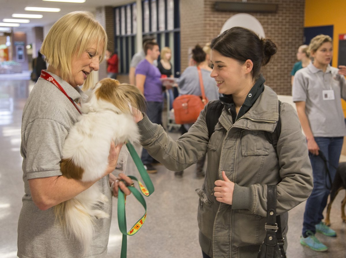 RRC's tweet photo. Next week, Thrive Week brings our campus to life! There's so much to explore, from Don Amero's keynote & mini-concert to therapy dogs!
Hosted by Campus Well-Being and the Studentsβ Association - all events are free. Stay tuned for more info! https://t.co/p3JuhqMafd #ThriveWeek https://t.co/jT7RBFl8GD