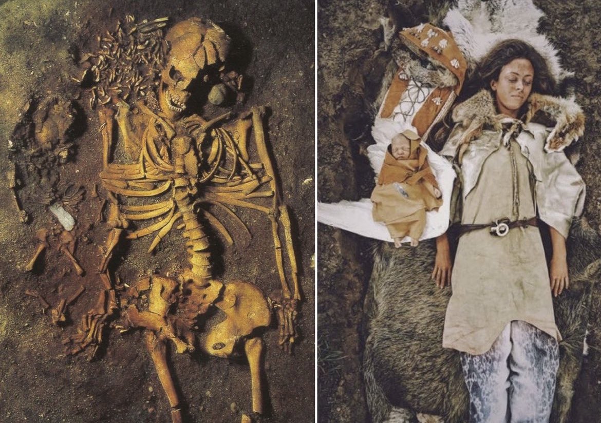 MorbidKnowledge's tweet photo. An ancient burial site discovered in Vedbaek, Denmark, dating back 7000-6000 years, revealed the remains of a young woman, approximately 20 years old, and her newborn baby. Positioned near her head were 200 red deer teeth, while the child was cradled in a swan's wing, accompanied by a flint knife at its side. Researchers believe the mother and child likely both passed away during childbirth.