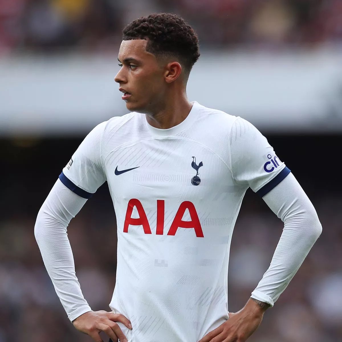 hotspurreports tweet picture