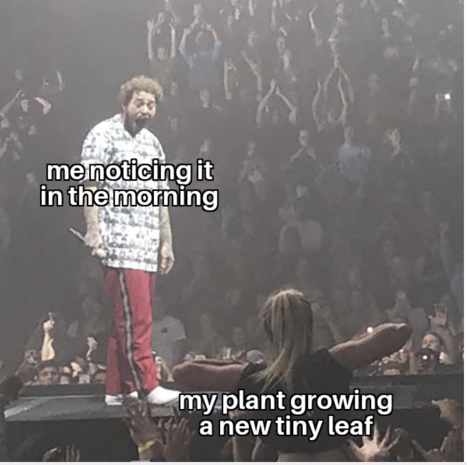 RespectfulMemes's tweet image. 