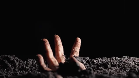 SafeCoin tweet media