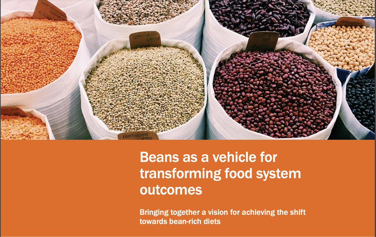 We think beans can be a vehicle for transforming food system outcomes. Our recent event with @AFNnetwork and @BeansisHow showcased some of the most inspiring bean-based innovations. View / download the PDF report here (1.1mb): tinyurl.com/4wcj5d2u #beans