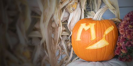 "Carving smiles with spooky cool tools, Halloween night brings delight to ghouls and ghosts alike!" 🎃🔪👻