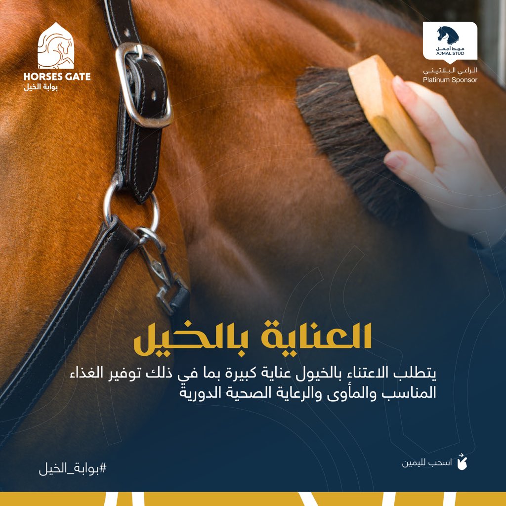 4. العناية بالخيل:
   - يتطلب الاعتناء بالخيول عناية كبيرة بما في ذلك توفير الغذاء المناسب والمأوى والرعاية الصحية الدورية.