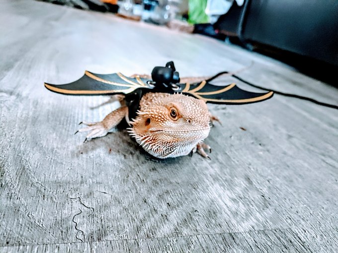 Happy Halloween @Addyspectre1 @MJ45403 @Rachelle_Hulme  @AmberTiff4321 @Nova10987654321 @_AngelLady_<a class="tags" target="_blank" title="On Twitter" href="/?out=eyJ0eXAiOiJKV1QiLCJhbGciOiJIUzUxMiJ9.eyJpYXQiOjE3MjQ2MTI1MDEsImlzcyI6InR3cG9ybnN0YXJzLmNvbSIsIm5iZiI6MTcyNDYxMjUwMSwiZXhwIjoxNzU2MTQ4NTAxLCJyZWRpcmVjdF91cmwiOiJodHRwczovL3R3aXR0ZXIuY29tL0FkZHlzcGVjdHJlMSJ9.x_xtvGvjZ6pwBmg54nelqWQvSN5mhp2jBDLtWKDOm2EW92SVb3BhOHOqJDKdxPoDg1_l8Fnvtj5NJJGbw-yoUw">@Addyspectre1</a><a class="tags" target="_blank" title="On Twitter" href="/?out=eyJ0eXAiOiJKV1QiLCJhbGciOiJIUzUxMiJ9.eyJpYXQiOjE3MjQ2MTI1MDEsImlzcyI6InR3cG9ybnN0YXJzLmNvbSIsIm5iZiI6MTcyNDYxMjUwMSwiZXhwIjoxNzU2MTQ4NTAxLCJyZWRpcmVjdF91cmwiOiJodHRwczovL3R3aXR0ZXIuY29tL01KNDU0MDMifQ.ytS5CAET_UQXvijwe-NTNPdoEhG7OEt-lmSAhCONp-1jjtUcQIegLsUYT-VA6YPiKgtNzWaLjwJ734UevQg_EA">@MJ45403</a><a class="tags" target="_blank" title="On Twitter" href="/?out=eyJ0eXAiOiJKV1QiLCJhbGciOiJIUzUxMiJ9.eyJpYXQiOjE3MjQ2MTI1MDEsImlzcyI6InR3cG9ybnN0YXJzLmNvbSIsIm5iZiI6MTcyNDYxMjUwMSwiZXhwIjoxNzU2MTQ4NTAxLCJyZWRpcmVjdF91cmwiOiJodHRwczovL3R3aXR0ZXIuY29tL1JhY2hlbGxlX0h1bG1lIn0.97VpfcHxem9-kbBh6tovKNMSMMJ1OTqrdroJzpLhjIEYVikWILqmuxH5KZkOjJMT14fs8atv47Ea_2w3-JLOCw">@Rachelle_Hulme</a><a href="/tag/fitforwork"class="tags"><span>#fitforwork</span></a>