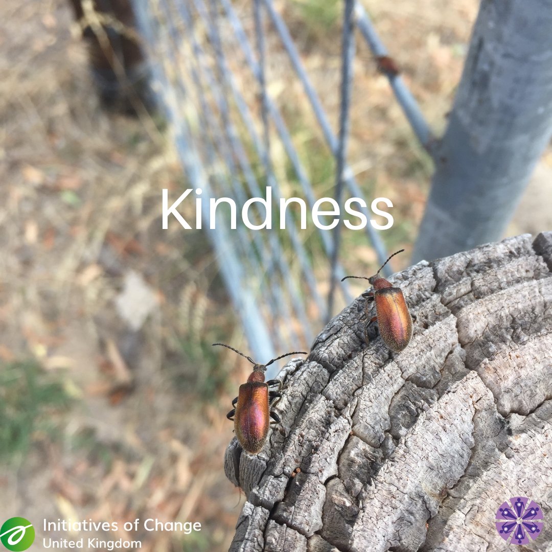 Creators of Peace UK tweet media