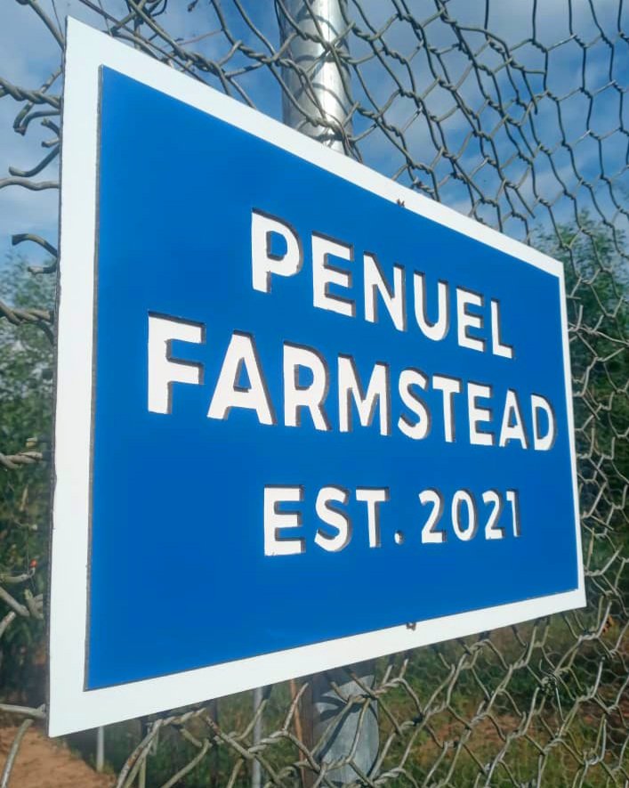 AkpanekpedemeE's tweet image. Simple Right?
But Classic💯

#NotTheRegular #KokoArts