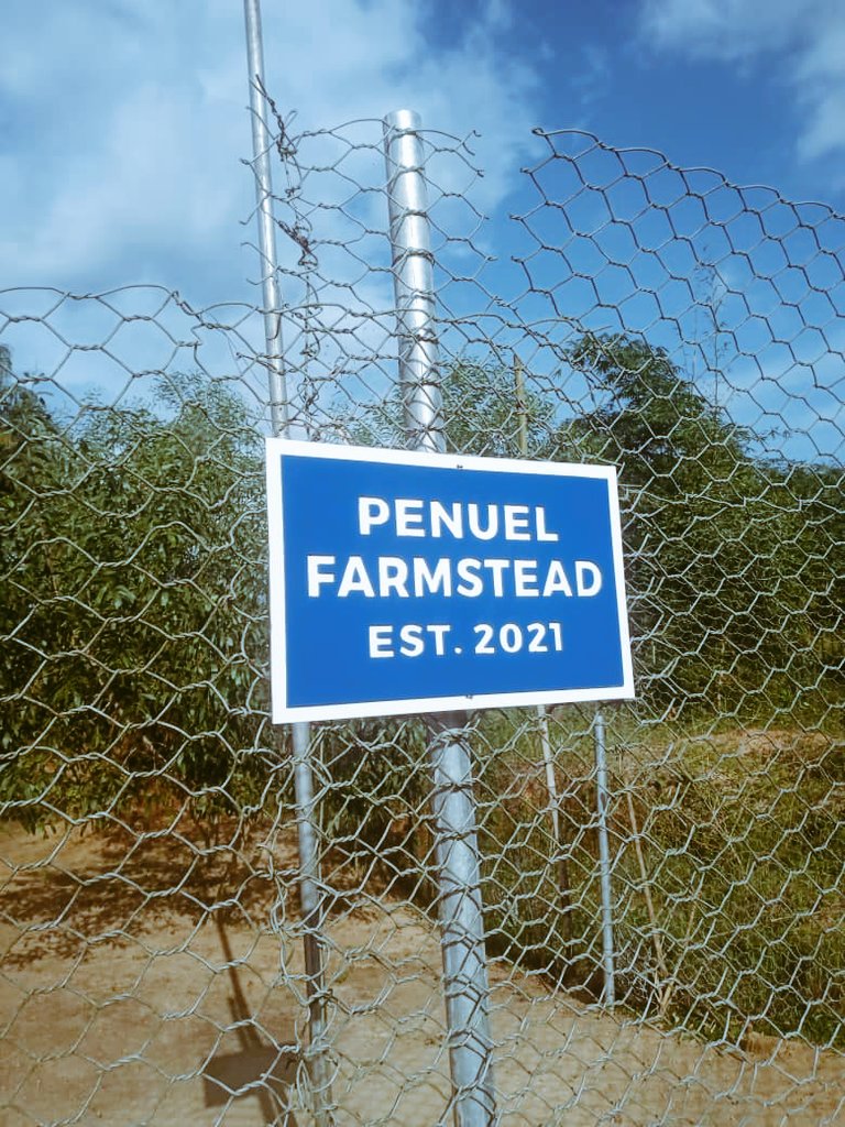 AkpanekpedemeE's tweet image. Simple Right?
But Classic💯

#NotTheRegular #KokoArts