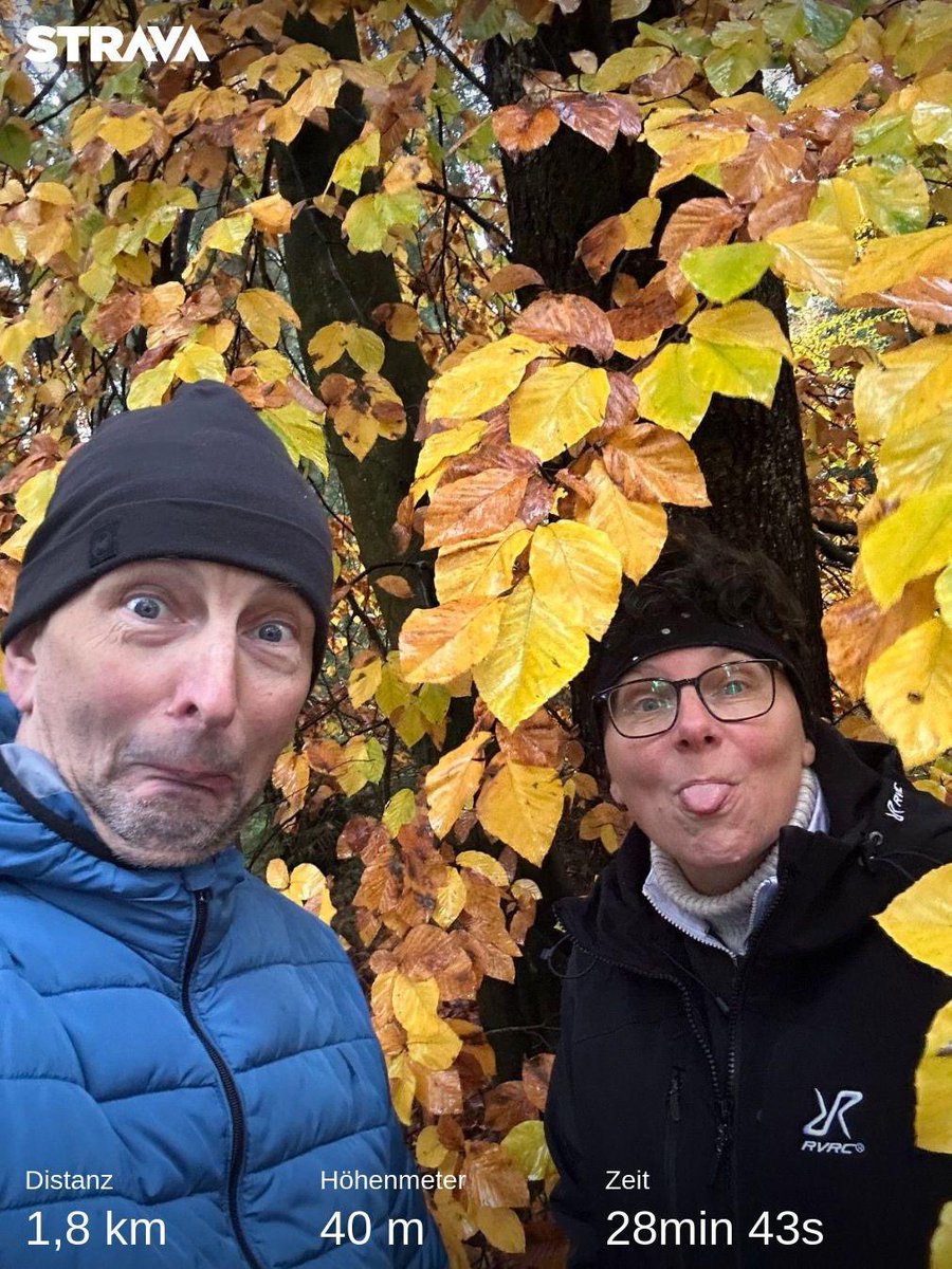 derSchniep's tweet photo. Herbstspaziergang fertig ☑️ Gliedmaßen auflockern vom #LegendofCross. 😂👍 #draußen #herbst #pilze #wald https://t.co/Spk71UcSEz