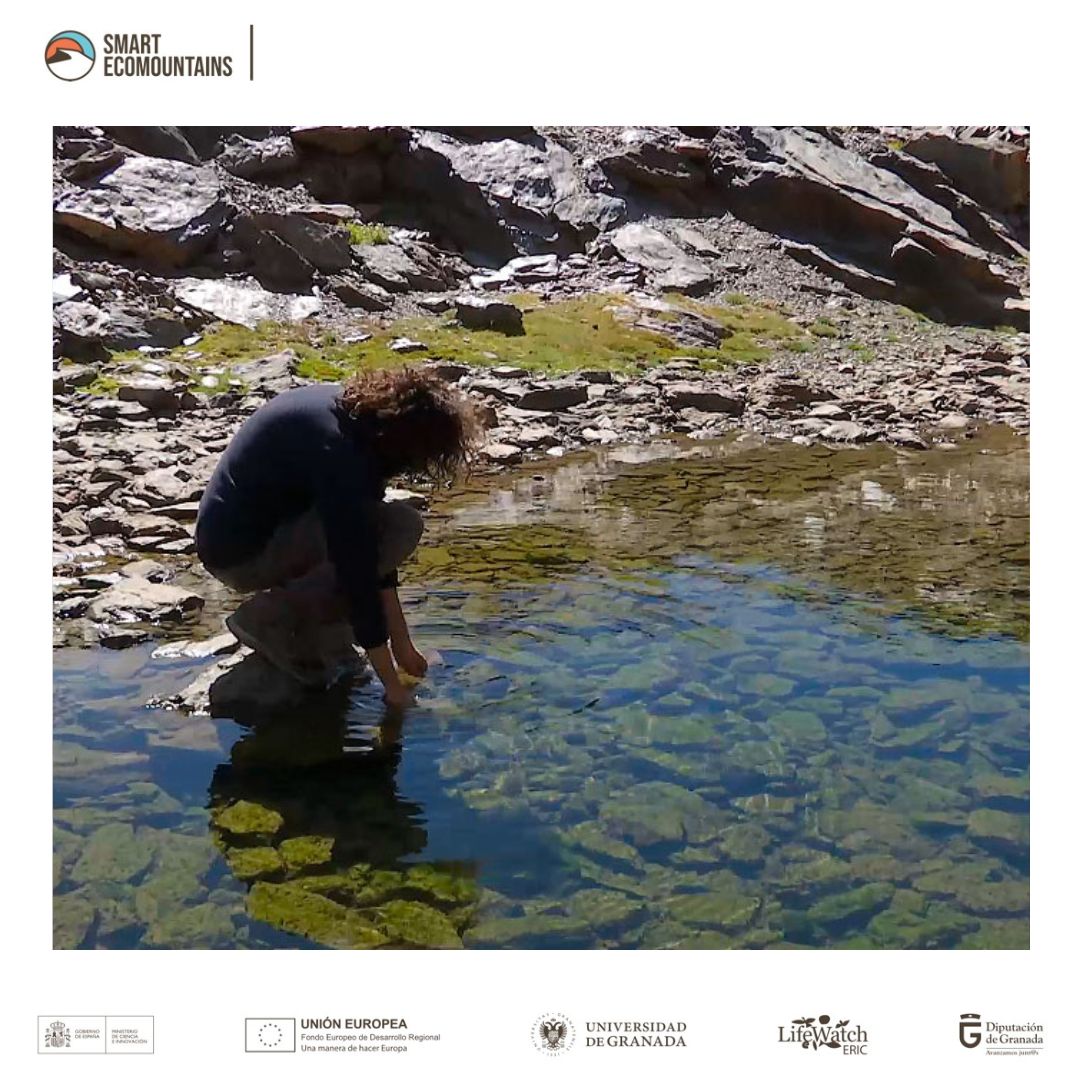 Smart Ecomountains tweet media