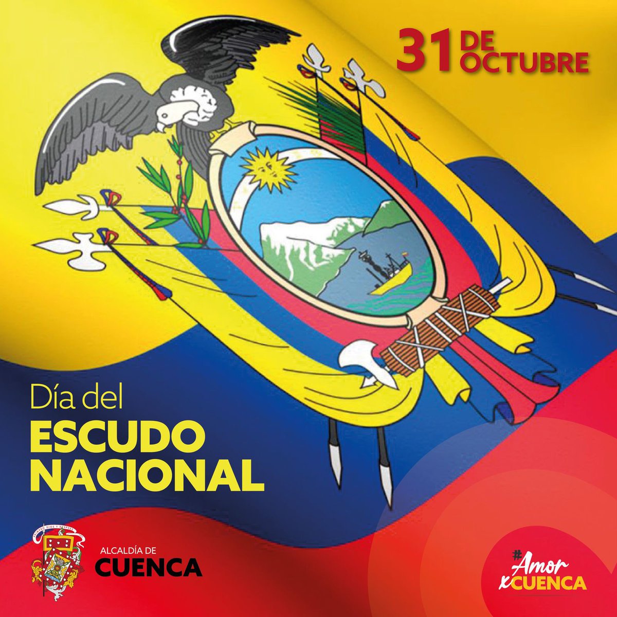 Municipio Cuenca tweet media