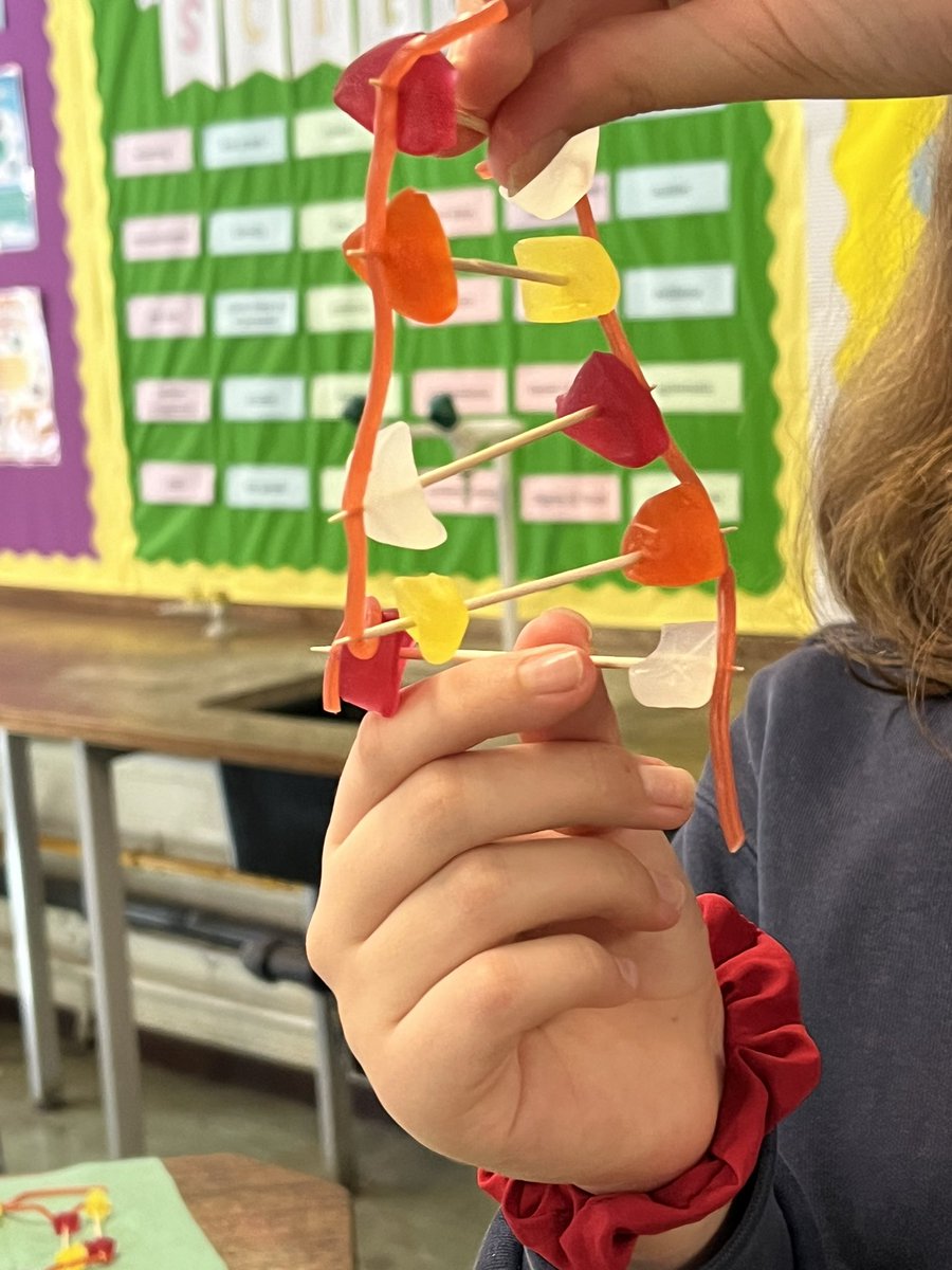 RainhamGirls's tweet image. Last term Year 8 were looking at the discovery of DNA and the structure of DNA🧬
To end the topic and consolidate their learning, pupils made their own DNA models from sweets☺️
#science #DNA #schoolactivities
