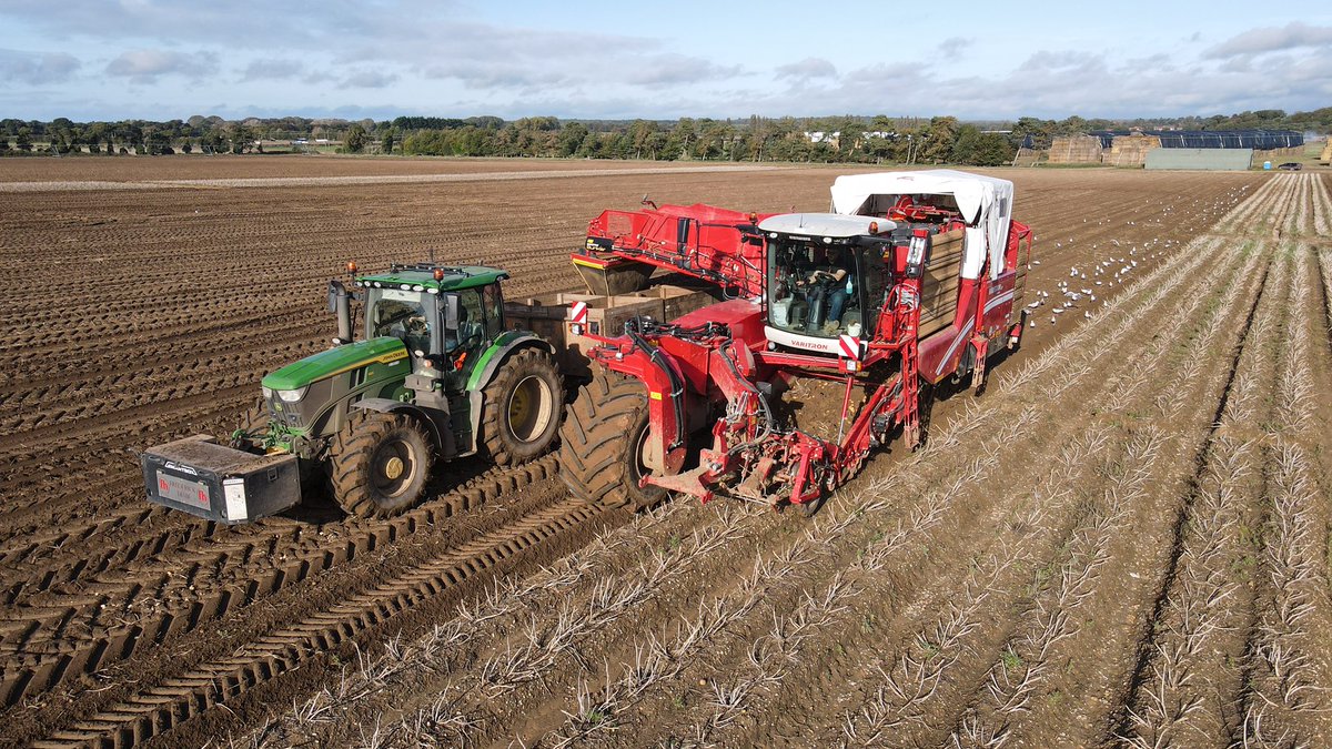 Frederick Hiam Ltd tweet media