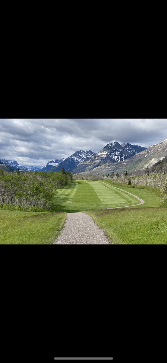 Nicholas Plantje tweet media