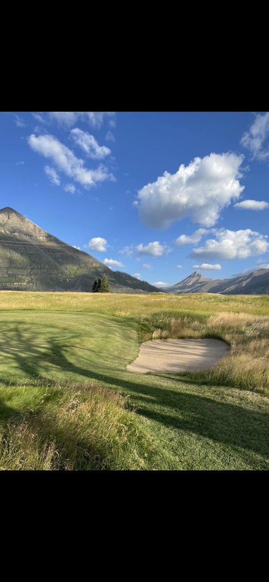 Nicholas Plantje tweet media