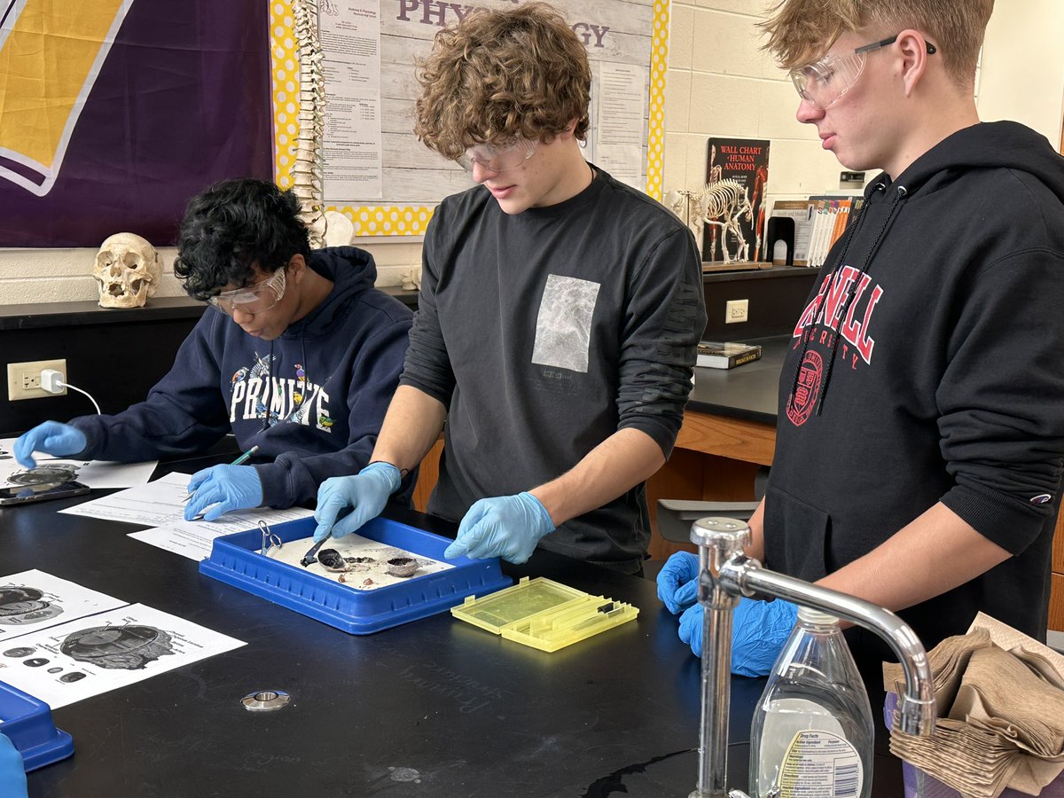 Science_Larson's tweet photo. Yesterday anatomy students dissected  cow eyes!  👀 Perfect for Halloween week. 🎃👻 https://t.co/WDGW8ZfV2Y