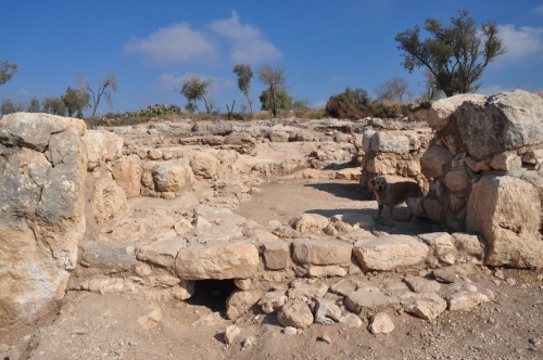 Khirbet Qeiyafa: An Archaeological Window into the Kingdom of David
#BiblicalArchaeology

Introduction:

Khirbet Qeiyafa, also known as Elah Fortress in Hebrew, stands as a significant archaeological site overlooking the Elah Valley, dated to the first half of the 10th century…