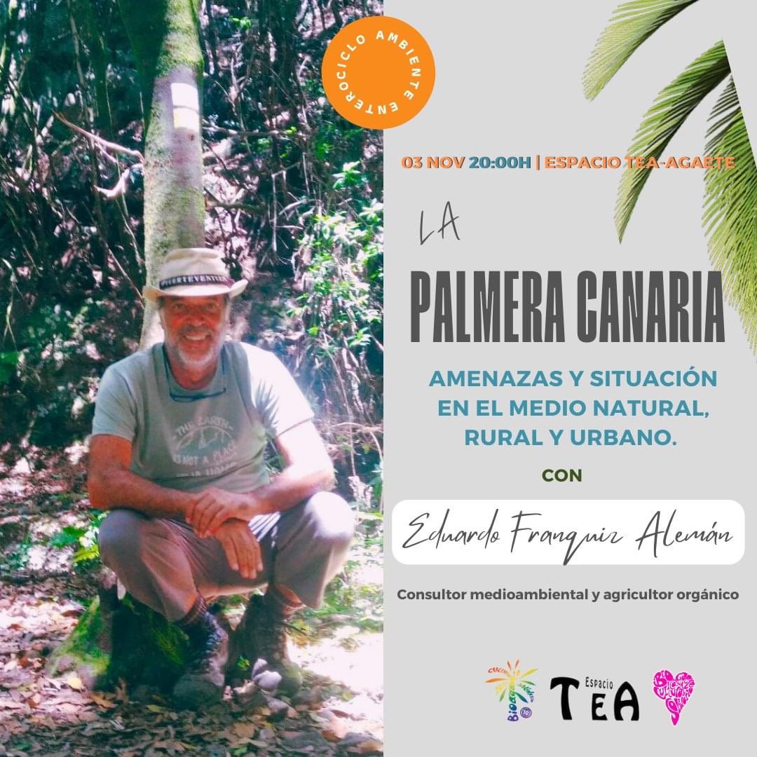 🌴 Este viernes, 3/11, continuamos con las jornadas de "𝗟𝗮 𝗣𝗮𝗹𝗺𝗲𝗿𝗮 𝗖𝗮𝗻𝗮𝗿𝗶𝗮", y lo haremos con 𝗘𝗱𝘂𝗮𝗿𝗱𝗼 𝗙𝗿𝗮𝗻𝗾𝘂𝗶𝘇, consultor medioambiental, técnico en medioambiente, agricultura y ecosistemas verdes urbanos. 

ℹ️ bioagaeteculturalsolidario.org/inician-las-jo…