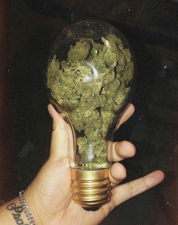 “Anyone got some ideas for what we should do tonight?”

My idea: