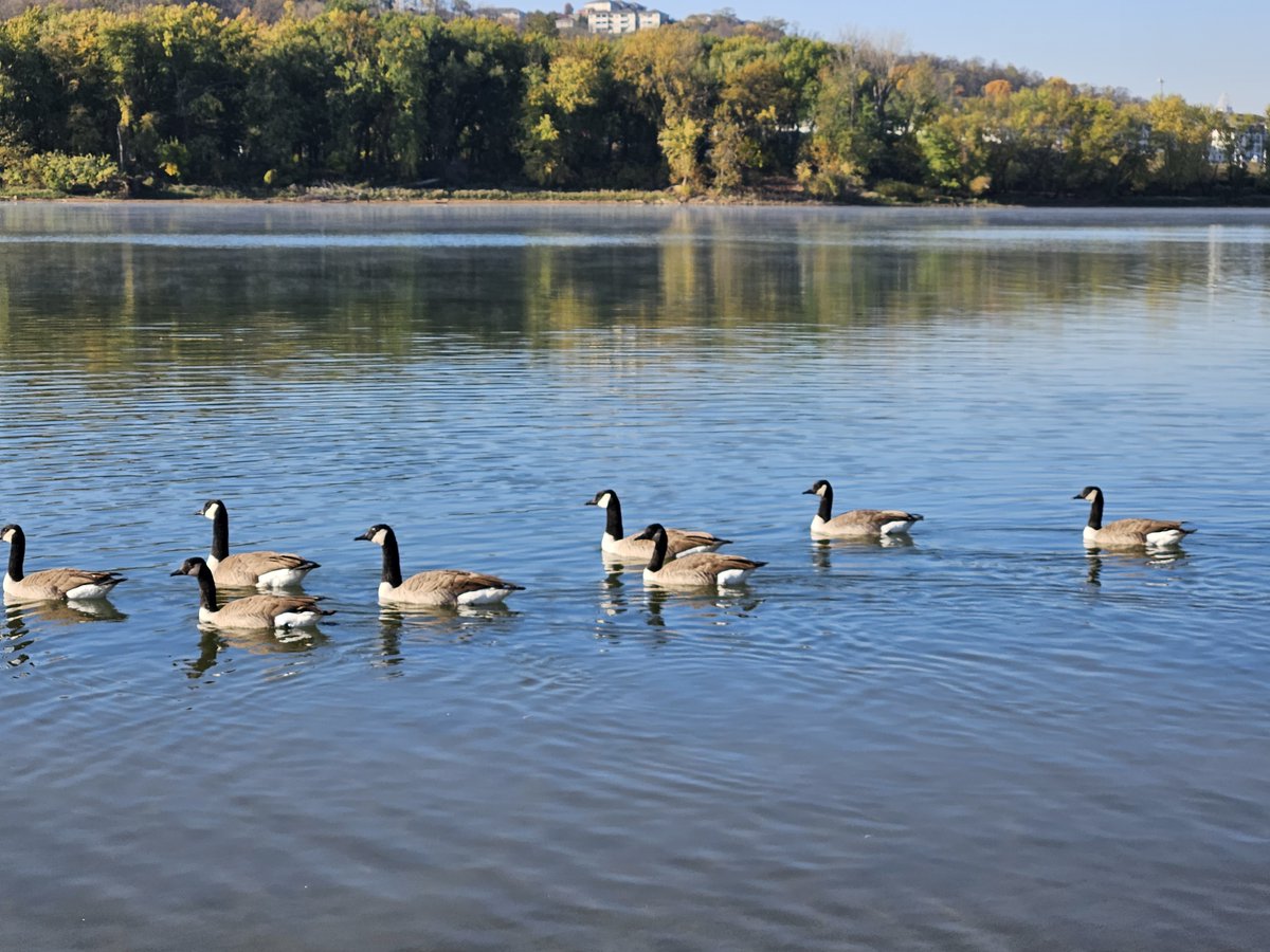 I had a great time covering one of The Ohio River Valley Water Sanitation Commission <a href="/ORSANCOchannel/">ORSANCO</a>'s Ohio River Sweep events for <a href="/CricketMediaInc/">cricketmediainc</a>'s Click magazine today! My story about the cleanup will be in the April 2024 issue