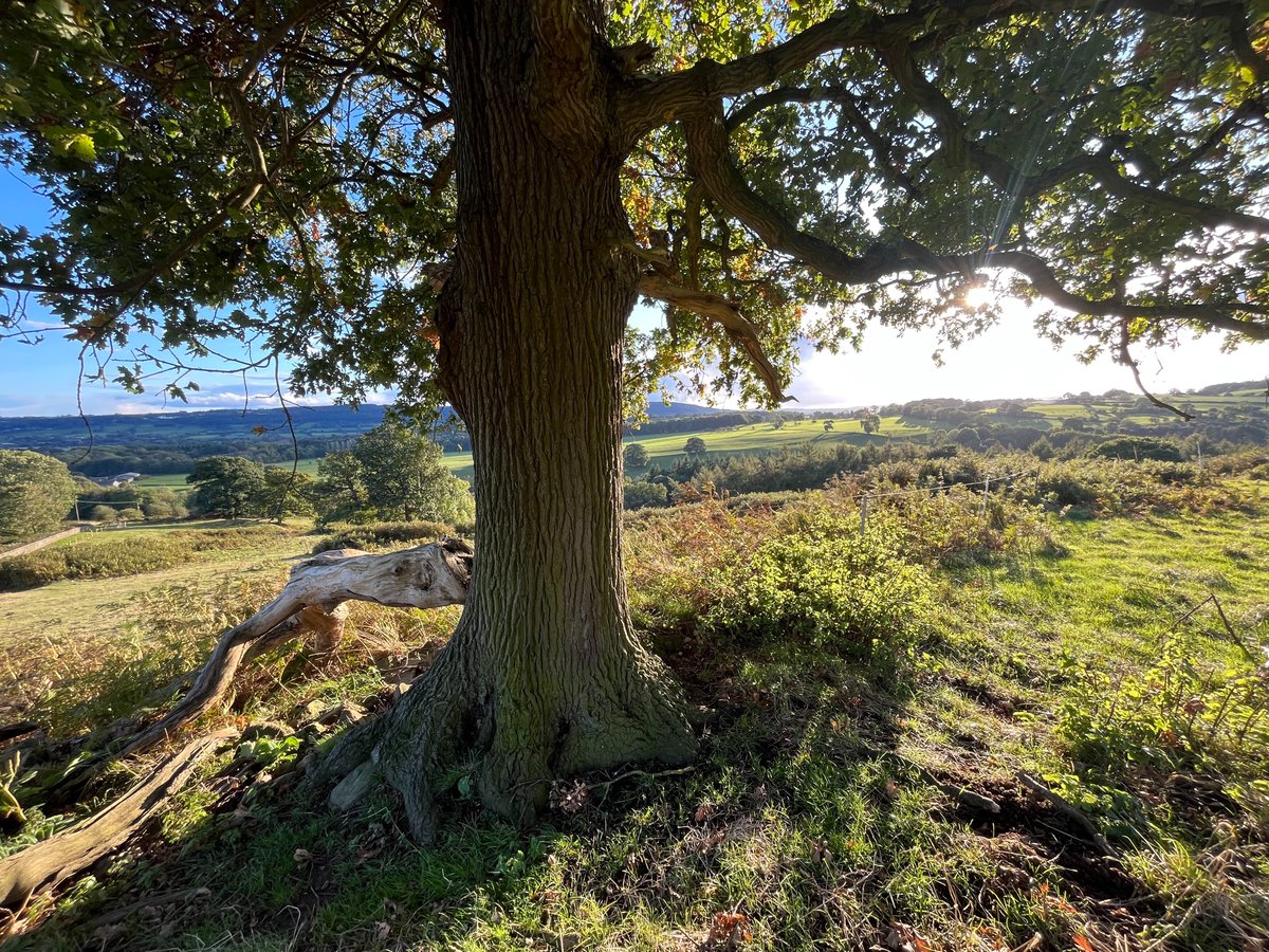 A scene on the route of a beautiful walk near Leeds. A favourite of mine, and of family and friends.

The landowner recently diverted the right of way. This view is now 'off limits' to the public. No one else seems to care, not even the Ramblers. A thread on why it matters...